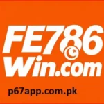 FE786Win
