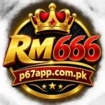 RM666